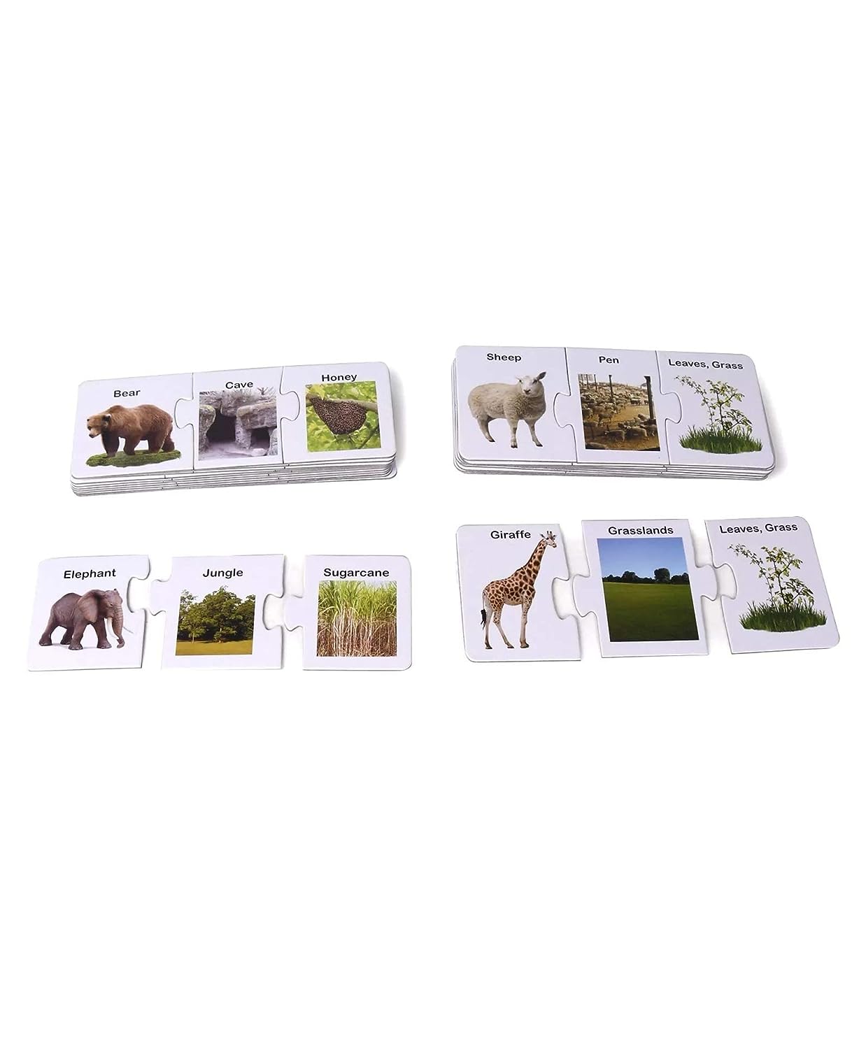 RATNA'S Animals Their Homes and What They EAT for Kids. Learn About Different Animals