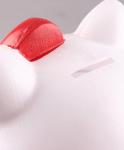 Speedage Hello Kitty Money Bank (Color May Vary)