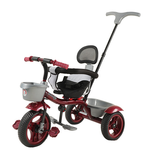 Tricycle TZ-